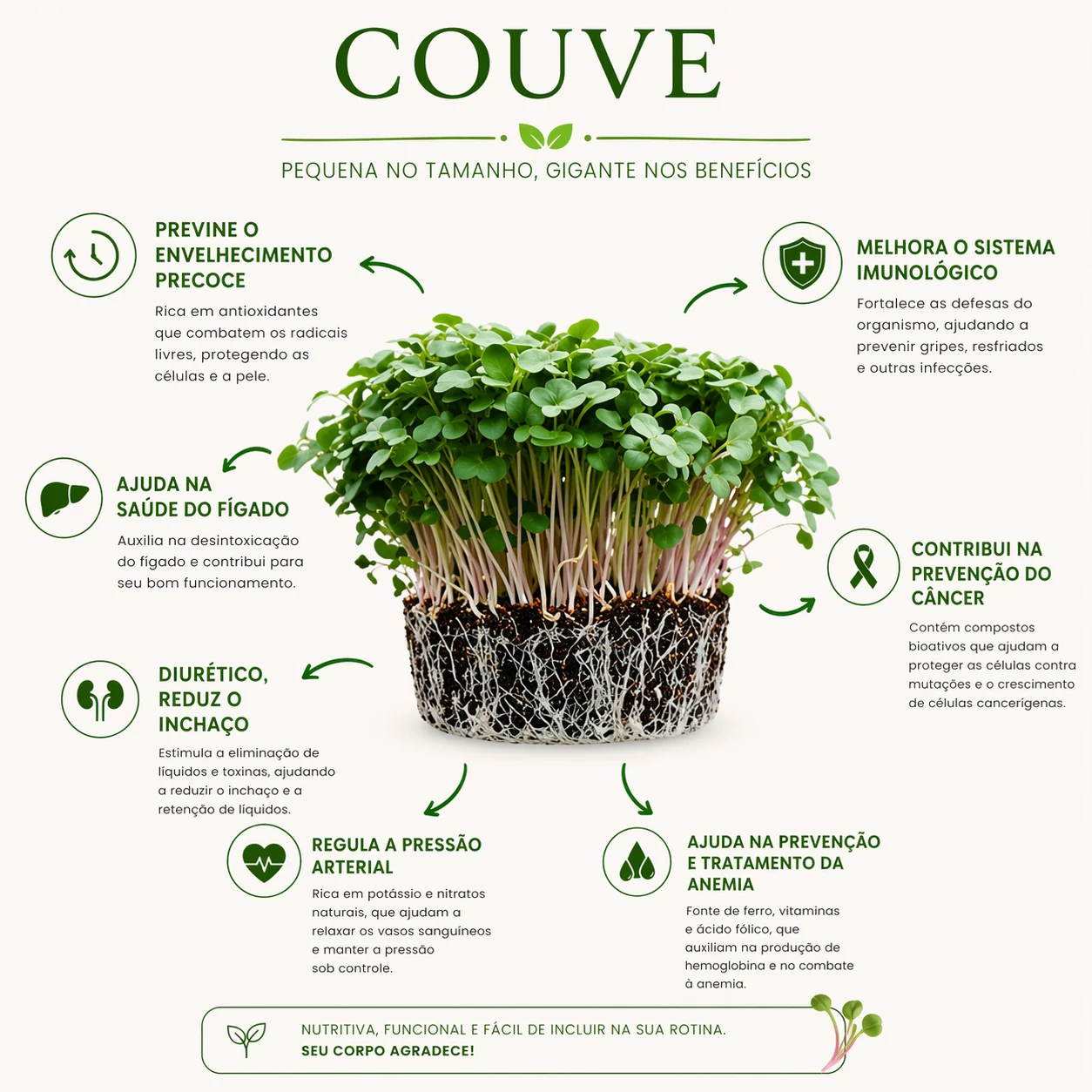 Benefícios do microverde de couve