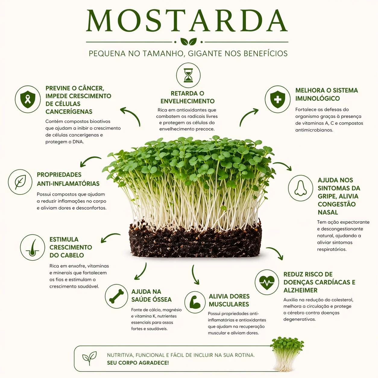 Benefícios do microverde de mostarda