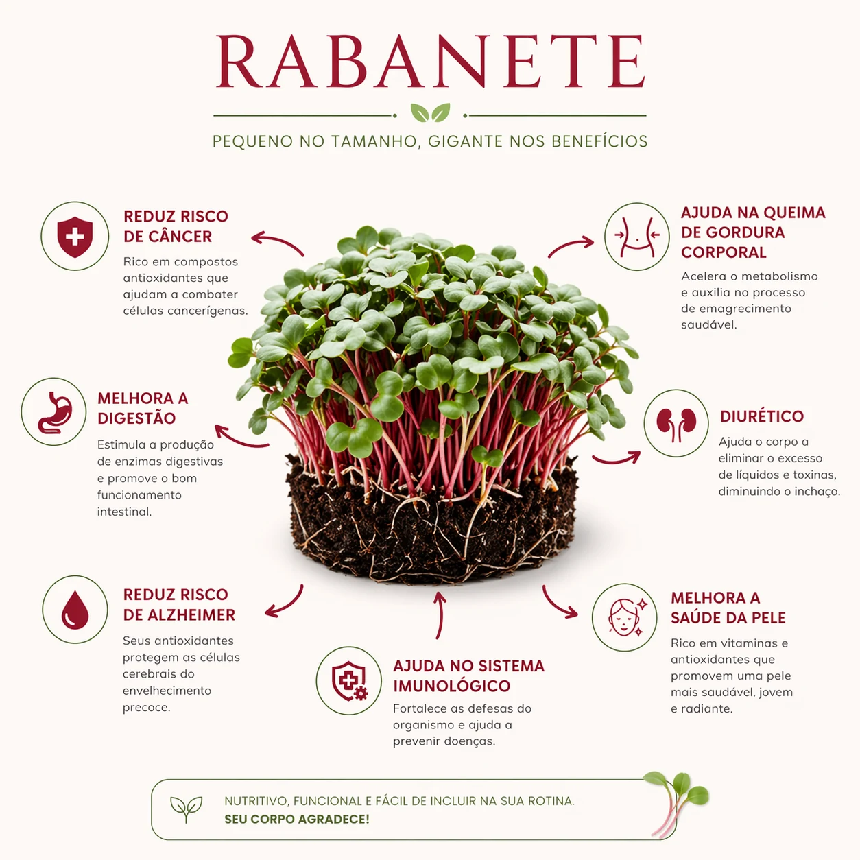 Benefícios do microverde de rabanete