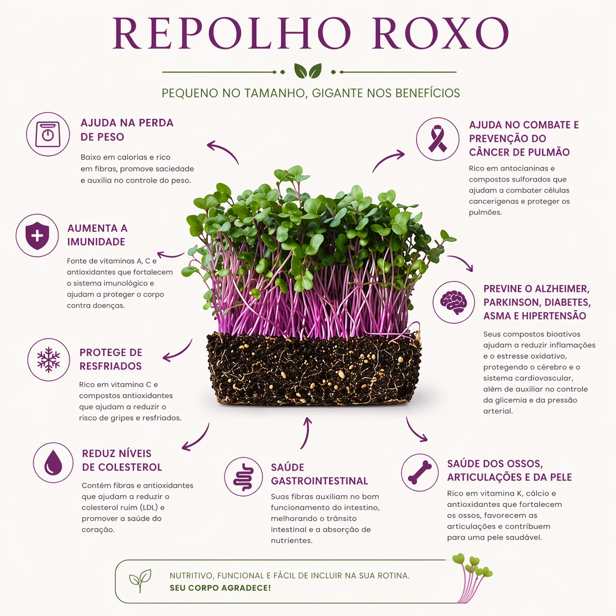 Benefícios do microverde de repolho